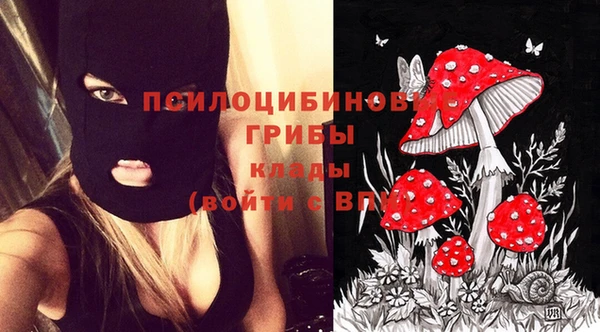 марки lsd Алексеевка