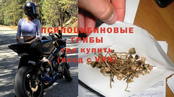 героин Алексин