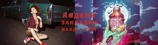 прущие грибы Абинск
