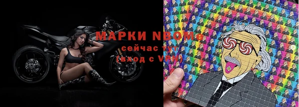 прущие грибы Абинск