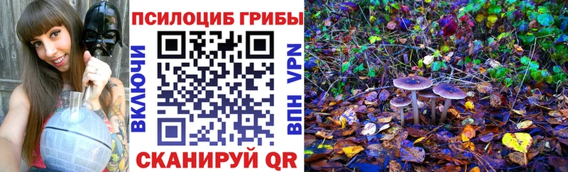 Псилоцибиновые грибы ЛСД  ОМГ ОМГ как войти  Учалы  купить наркотик 